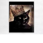 !/~~Cult of two cats~**