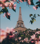 Die Paris Mädchen