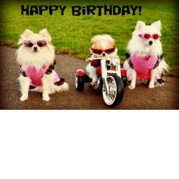 Happy Birthday Too YVETTE ! icon