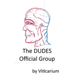 The DUDES Official Group