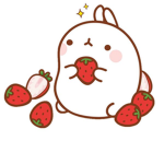Meow group