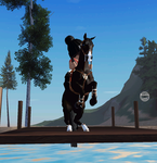 ~•|Sunrise Riding Academy|•~