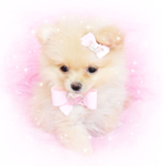 luvpuppi