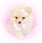 luvpuppi Group Thumbnail