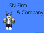 SN Firm & Company