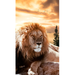 Simba only