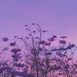 ♡