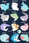 The Tiny Shark Foundation