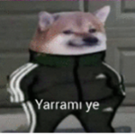 Tokyo Ghoul Fan Group (turkey)