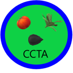 Condiment City Official Transit Authority
