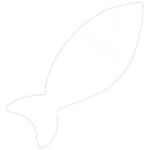Skibidi Fischers