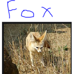 the foxes can you de a fox