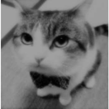 Wawas towers (Offical Practise Place)