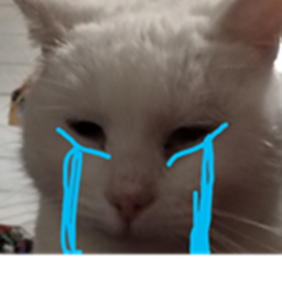 wasa