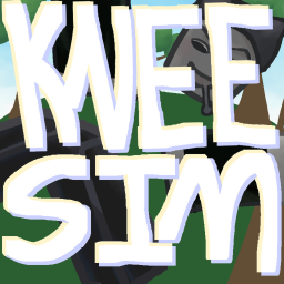 Knee Surgery Simulator