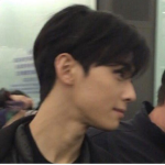 CHA EUNWOO FANS