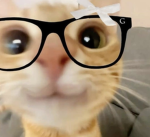 Peppalol