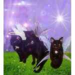 tay’s kitties!!