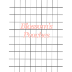 Blossom's Peaches