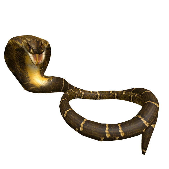 Cobra snake wrapped around neck