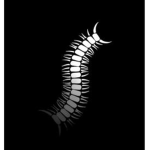 Worm征服