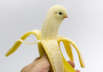 Banana Dino Nuggets