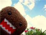 DOMO FAN GROUP!!!!