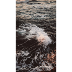 The Lonely Springs