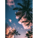 Summer Aesthetics!