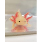 Axolotl Army And Nation >:D