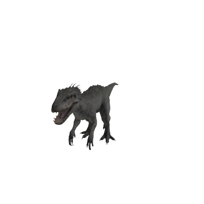 Rex #########