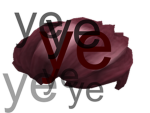 Ye
