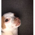 Hiiiiiiiiii!!!!!!