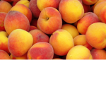 Official Peach Group YT