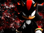Fan Club Shadow The Hedgehog