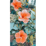 junez tropicals