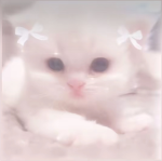 Sleepymad