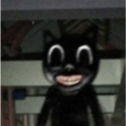 Cartoon Cat