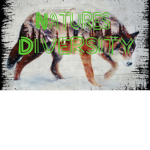 Natures Diversity