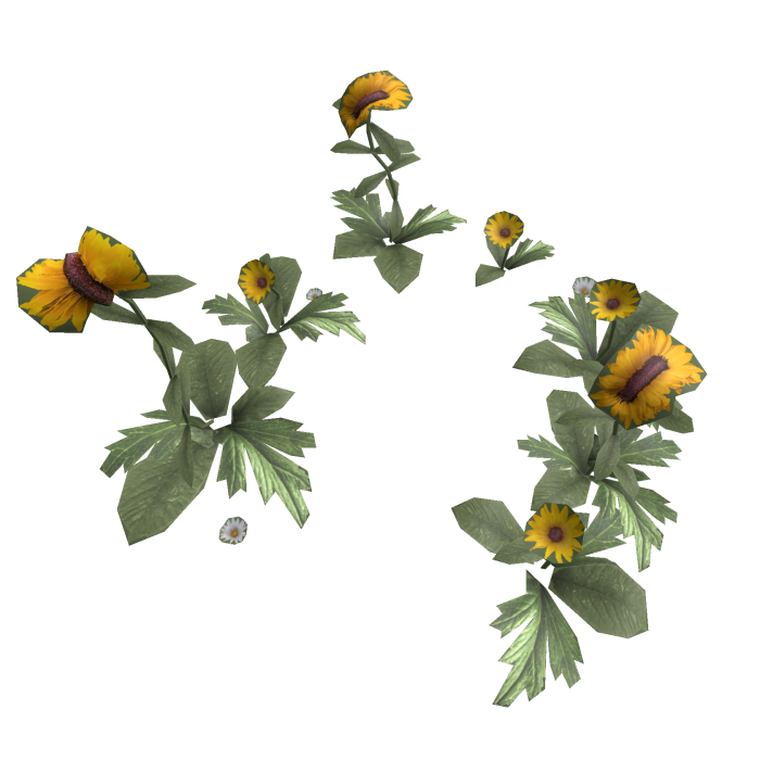 Fasciation Mutated Flower Field Dreamcore Daisy