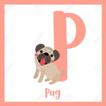 Pug Team Forever!