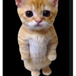 El gatos meme centre