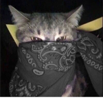S-A-D