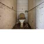 anomic toilet gang
