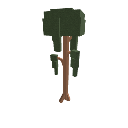 swamp tree