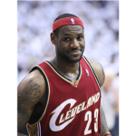 lebron james super fans