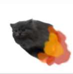 Moose Calfs