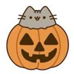 lilly’s pumpkins