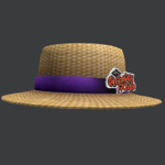 The CheeseString Straw hat Gang