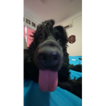 Sxvplyy